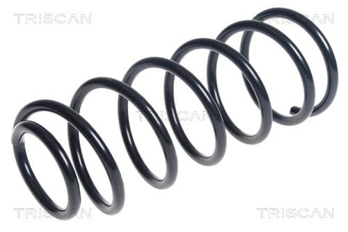 Spiralfjäder bak från TRISCAN