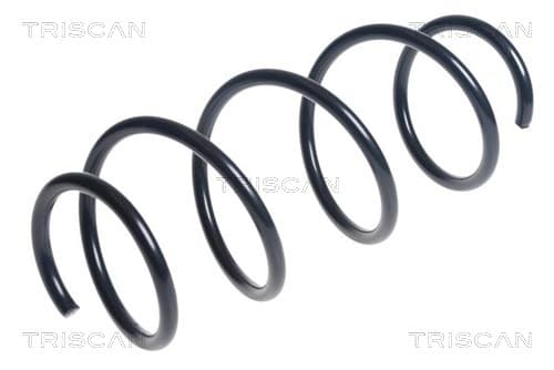 Spiralfjäder fram från TRISCAN