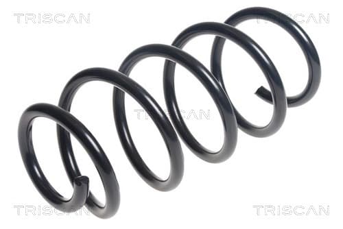Spiralfjäder fram från TRISCAN