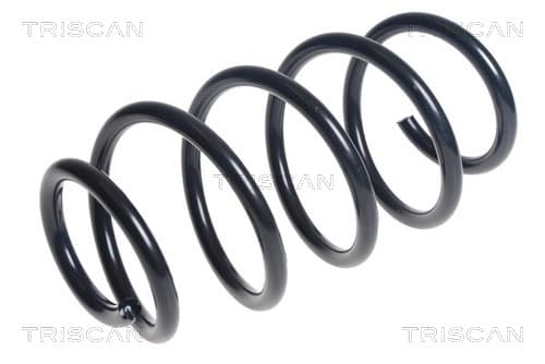 Spiralfjäder fram från TRISCAN