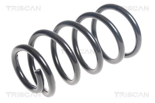 Spiralfjäder bak från TRISCAN