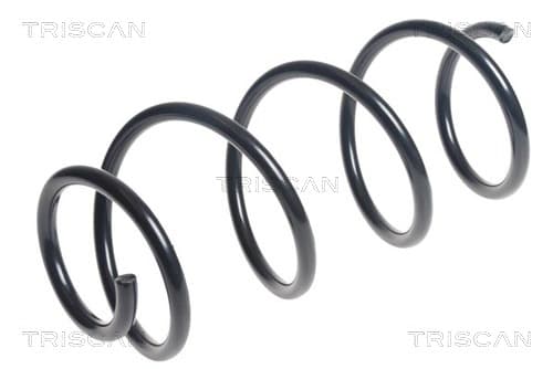 Spiralfjäder fram från TRISCAN