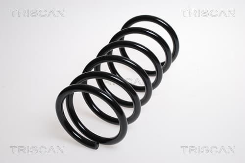 Spiralfjäder bak