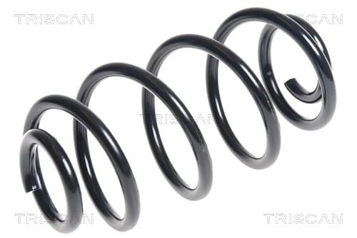 Spiralfjäder bak — Bakaxel från TRISCAN