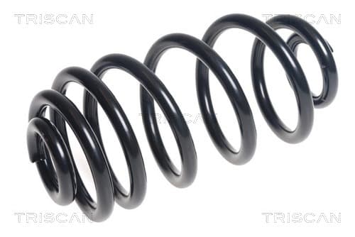 Spiralfjäder bak från TRISCAN