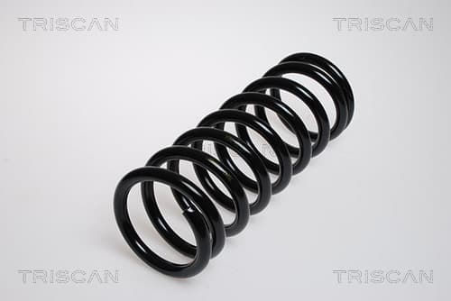 Spiralfjäder bak från TRISCAN