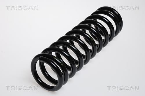 Spiralfjäder bak från TRISCAN
