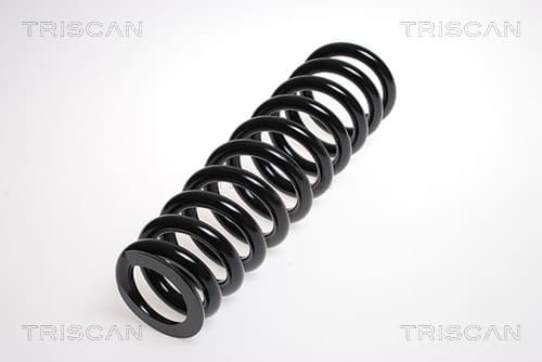 Spiralfjäder bak från TRISCAN