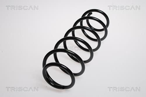 Spiralfjäder bak från TRISCAN