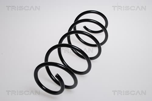 Spiralfjäder fram från TRISCAN