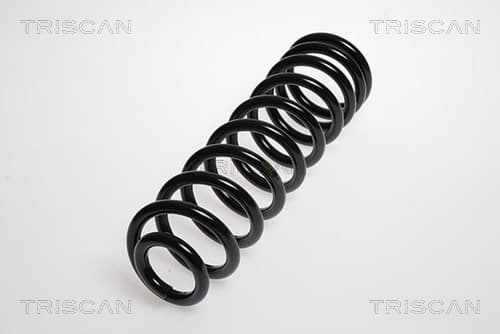 Spiralfjäder bak från TRISCAN