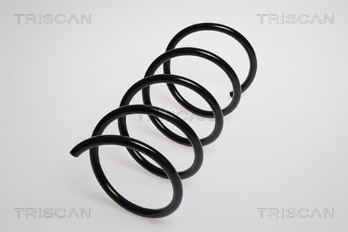 Spiralfjäder fram från TRISCAN