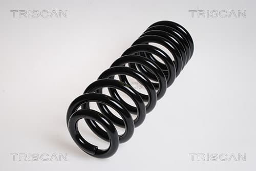 Spiralfjäder bak från TRISCAN
