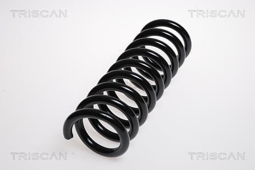 Spiralfjäder bak från TRISCAN