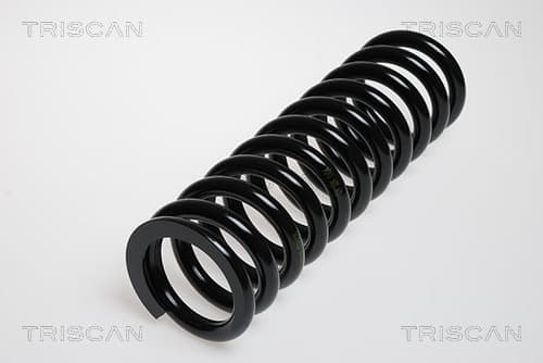Spiralfjäder bak från TRISCAN
