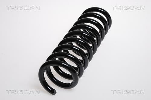 Spiralfjäder bak från TRISCAN