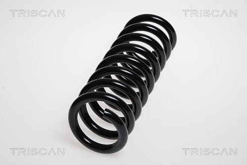 Spiralfjäder bak från TRISCAN