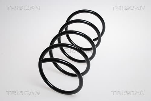 Spiralfjäder fram från TRISCAN