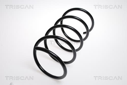 Spiralfjäder fram från TRISCAN