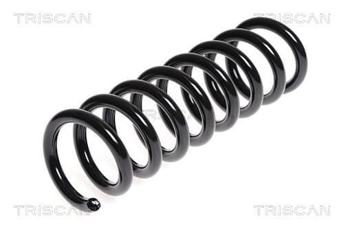 Spiralfjäder bak från TRISCAN