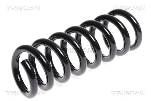 Spiralfjäder bak från TRISCAN