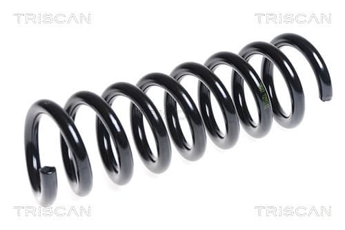 Spiralfjäder bak från TRISCAN