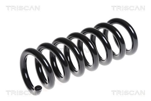 Spiralfjäder bak från TRISCAN