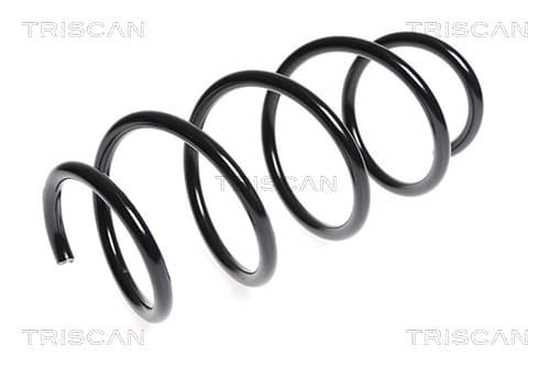 Spiralfjäder fram från TRISCAN