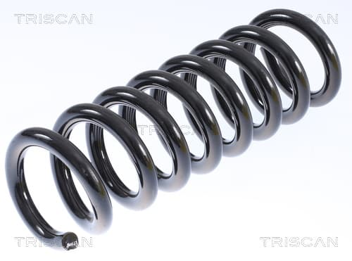 Spiralfjäder bak från TRISCAN