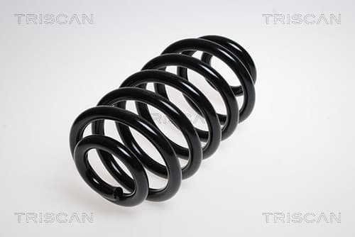Spiralfjäder bak från TRISCAN