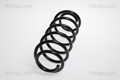Spiralfjäder bak från TRISCAN
