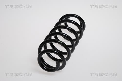 Spiralfjäder bak från TRISCAN