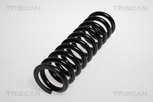 Spiralfjäder bak från TRISCAN