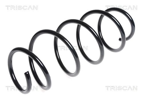 Spiralfjäder fram från TRISCAN