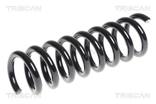 Spiralfjäder bak från TRISCAN
