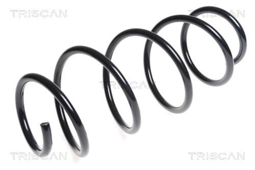 Spiralfjäder fram från TRISCAN