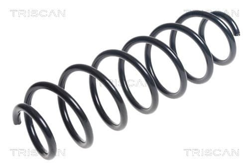 Spiralfjäder bak från TRISCAN