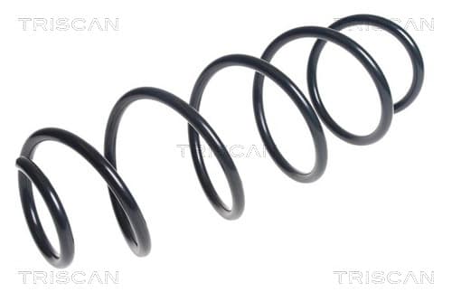 Spiralfjäder fram från TRISCAN
