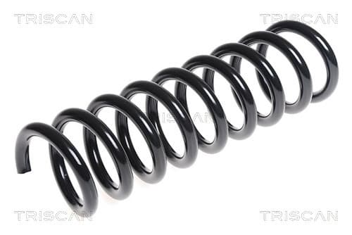 Spiralfjäder fram från TRISCAN