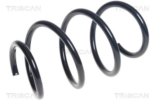 Spiralfjäder fram från TRISCAN