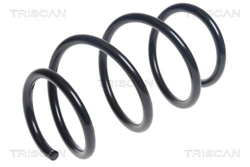Spiralfjäder fram från TRISCAN