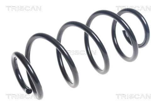 Spiralfjäder bak från TRISCAN