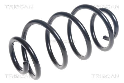 Spiralfjäder bak från TRISCAN