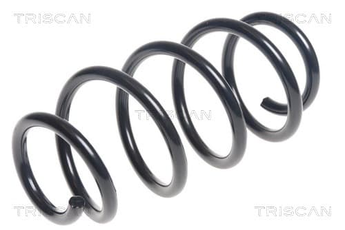 Spiralfjäder bak från TRISCAN