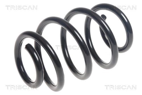 Spiralfjäder bak från TRISCAN