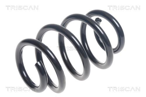 Spiralfjäder bak från TRISCAN