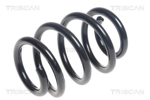 Spiralfjäder bak från TRISCAN