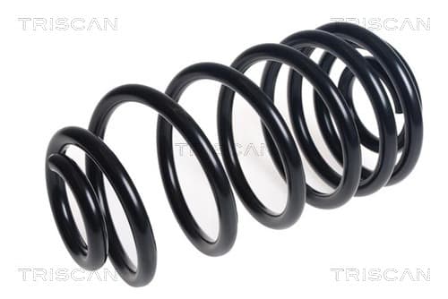 Spiralfjäder bak från TRISCAN