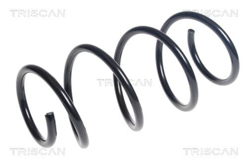Spiralfjäder fram från TRISCAN