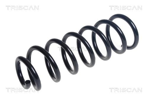 Spiralfjäder fram från TRISCAN